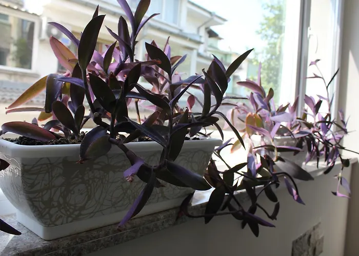 Hostel Penev Στάρα Ζαγόρα